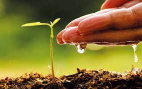 Agriculture - Environment