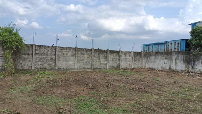 Land & Plots for Rent